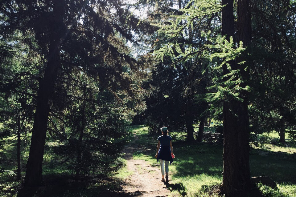 Randonnée en forêt dans le canton de Vaud